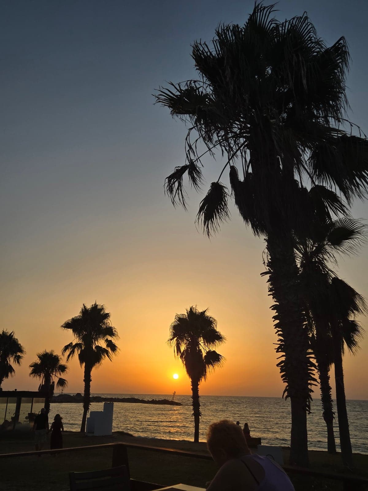 Palm trees silhouetted against a sunset over the sea.